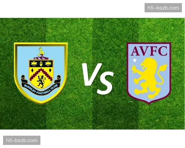 深度报道:数据分析揭示伯恩利降级的根本原因——控球率与转化效率的失衡 深度报道:数据分析揭示伯恩利降级的根本原因——控球率与转化效率的失衡